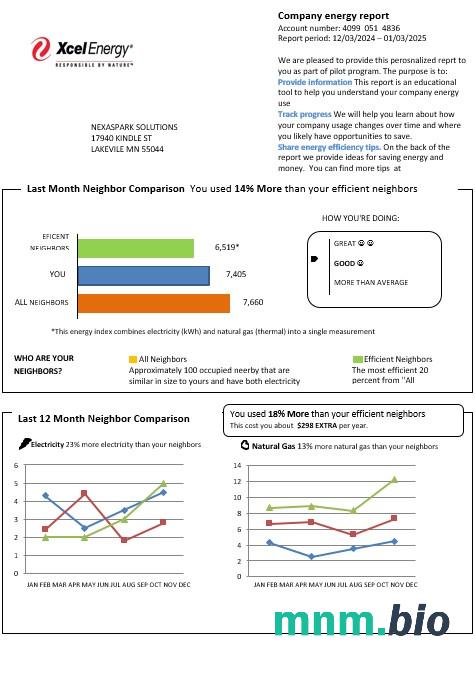 USA Minnesota Xcel Energy rachunek za usługi komunalne szablon w formacie Word i PDF